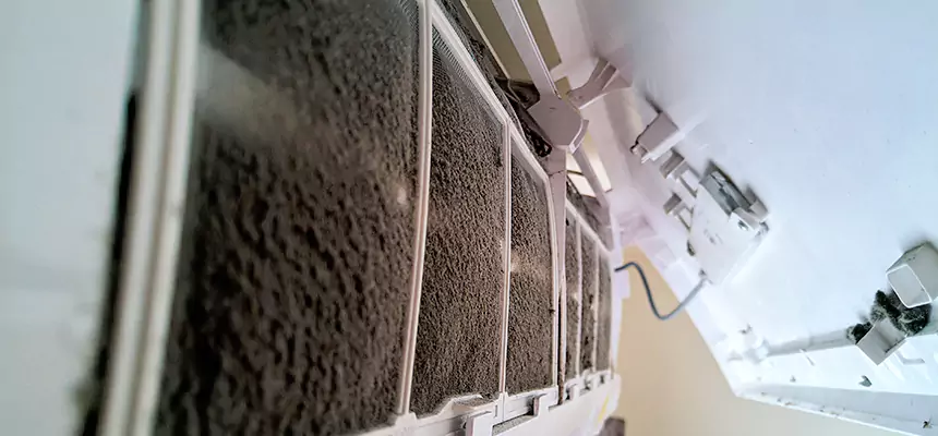 Preventive Air Duct Bacteria Removal in Lafayette