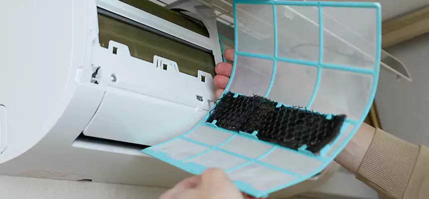 Gentle Ductwork Odor-Control Pet Dander Duct Cleaning in Lafayette, CA