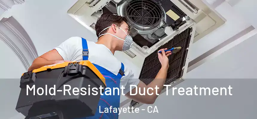  Mold-Resistant Duct Treatment Lafayette - CA