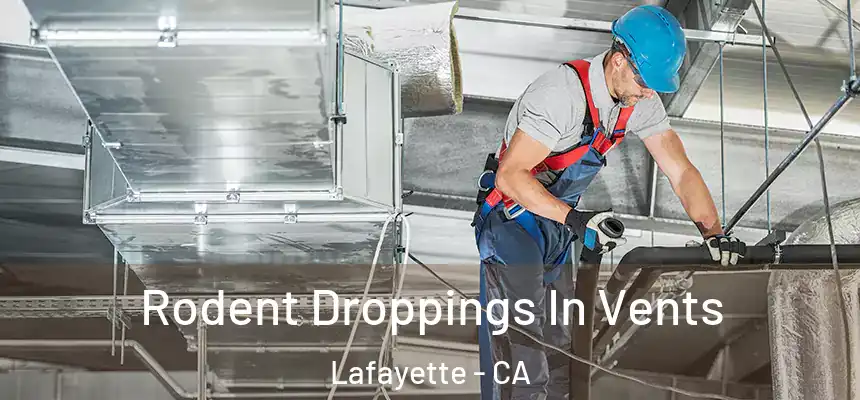  Rodent Droppings In Vents Lafayette - CA