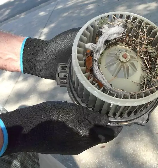 About Air Duct Mice Removal in Lafayette, CA