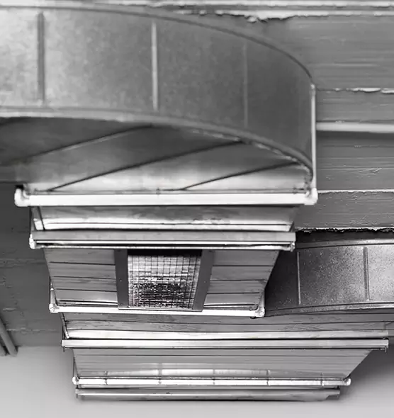 Professional Air Duct Pet Hair Removal in Lafayette, CA