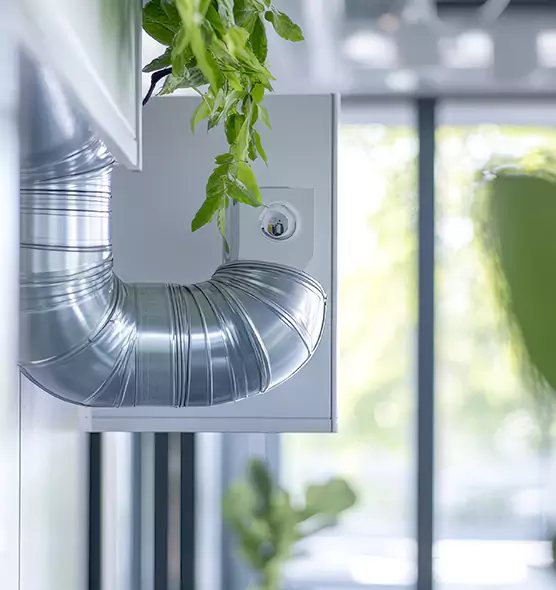 Professional Eco-Safe Dryer Vent Cleaning in Lafayette, CA