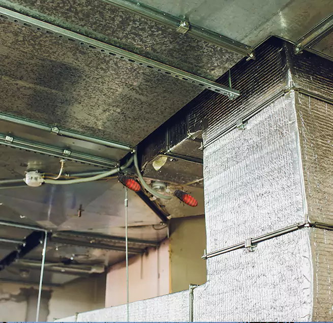 Why Homeowners & Businesses Trust Us in Lafayette, CA?