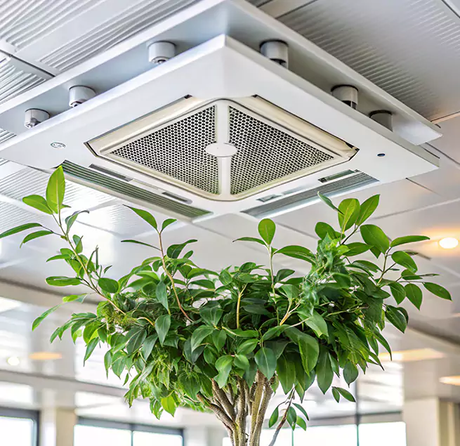 Why Homeowners & Businesses Trust Us in Lafayette, CA?